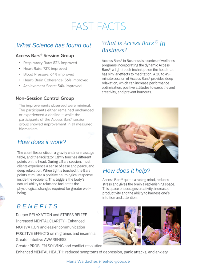 Access Bars Business2